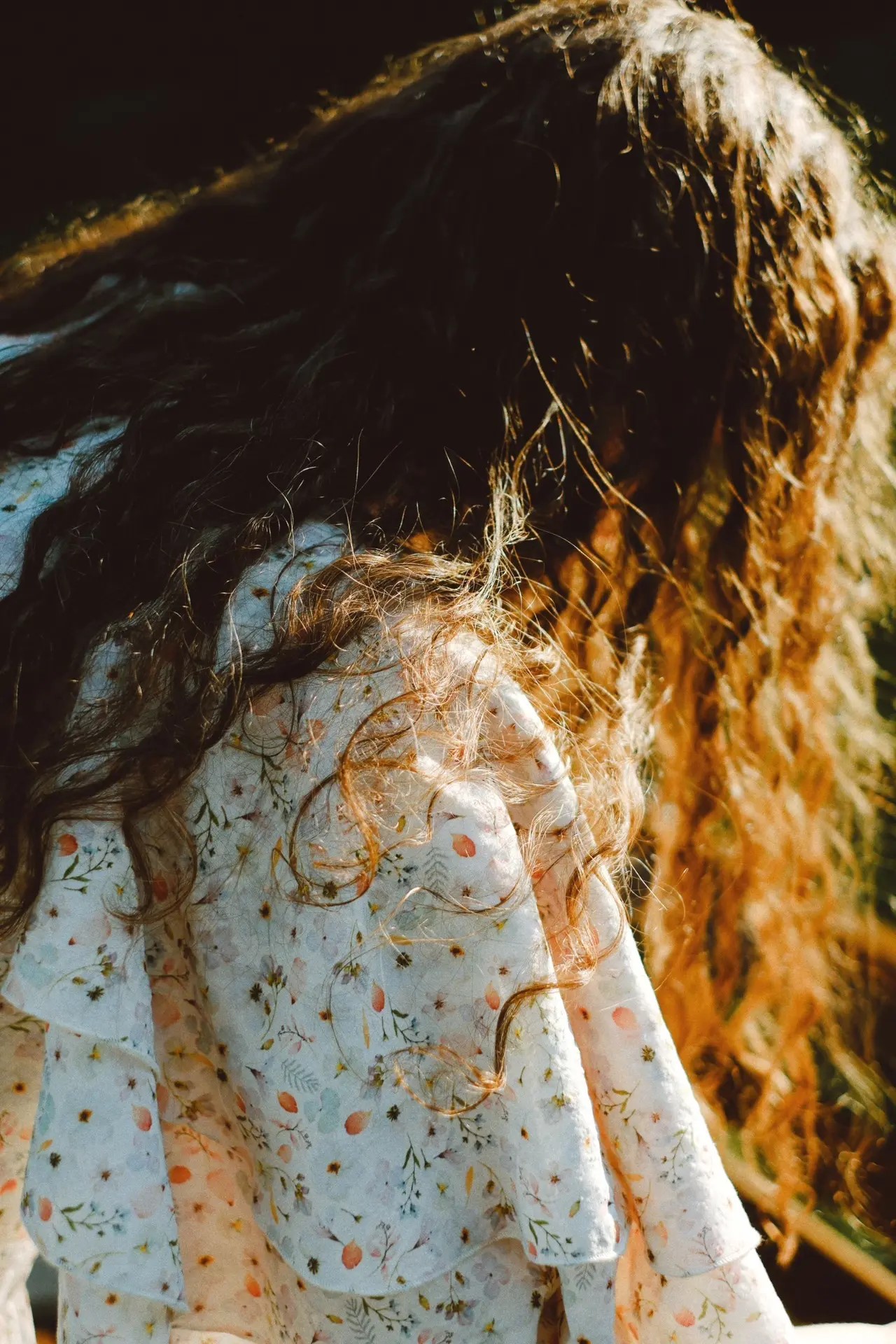 Lorem ipsum dolor sit amet consectetur