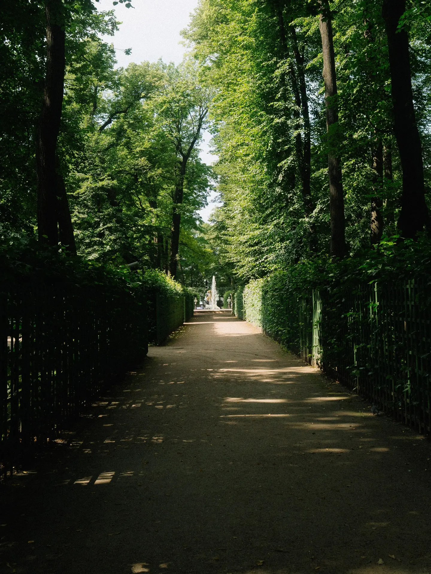 Lorem ipsum dolor sit amet consectetur